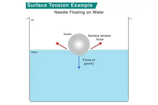Surface-Tension-Example