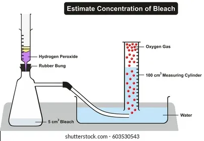 bleach-experiment